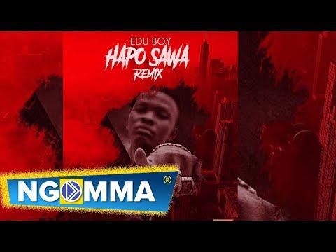 Edu Boy x Professor Jay-Hapo sawa Remix (Official Audio