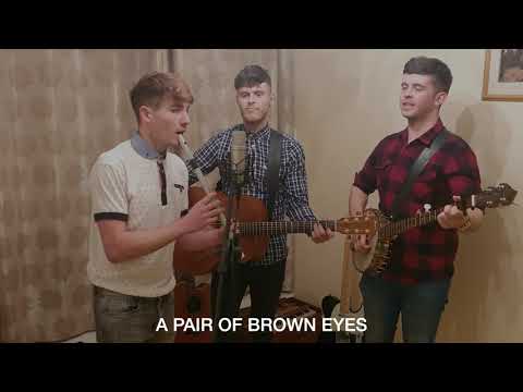 The Kings of Connaught - A Pair Of Brown Eyes