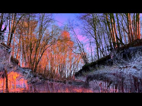 👽 Alien (Original) | Dizma