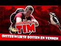 Vogels in de Oisterwijkse Bossen en Vennen – Tims natuurvlog 03