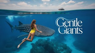 Dive into Luxury: Maldives Seaplanes and Whale Sharks