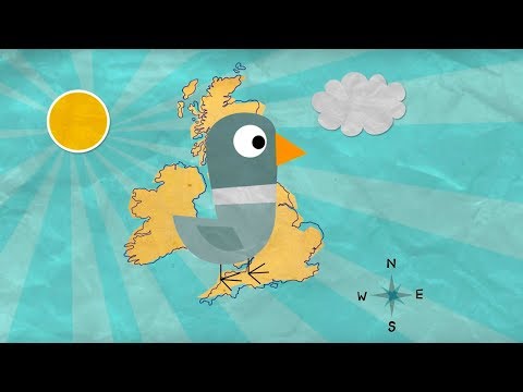 , title : 'How Do Homing Pigeons Get Home? | Extraordinary Animals | BBC Earth'