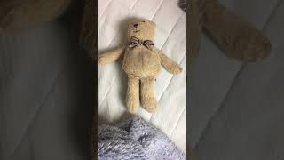 白猫についての謝罪