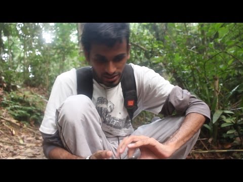 Indian vs. Wild - Malaysian Jungle