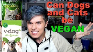 Can Dogs & Cats Be VEGAN?! | Feeding Pets a Vegan Diet by Tyler Rugge