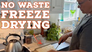 Homestead Pantry  - No Waste Freeze Drying