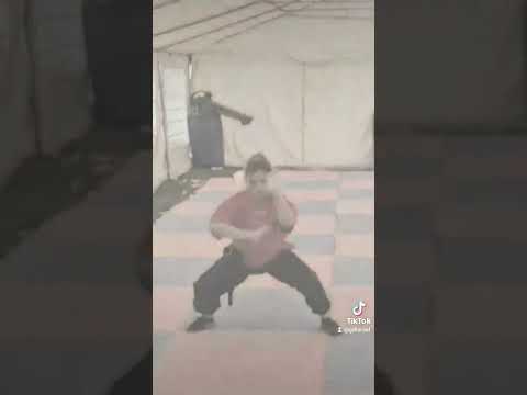 Photo of Golden dragon israel kung fu wushu
