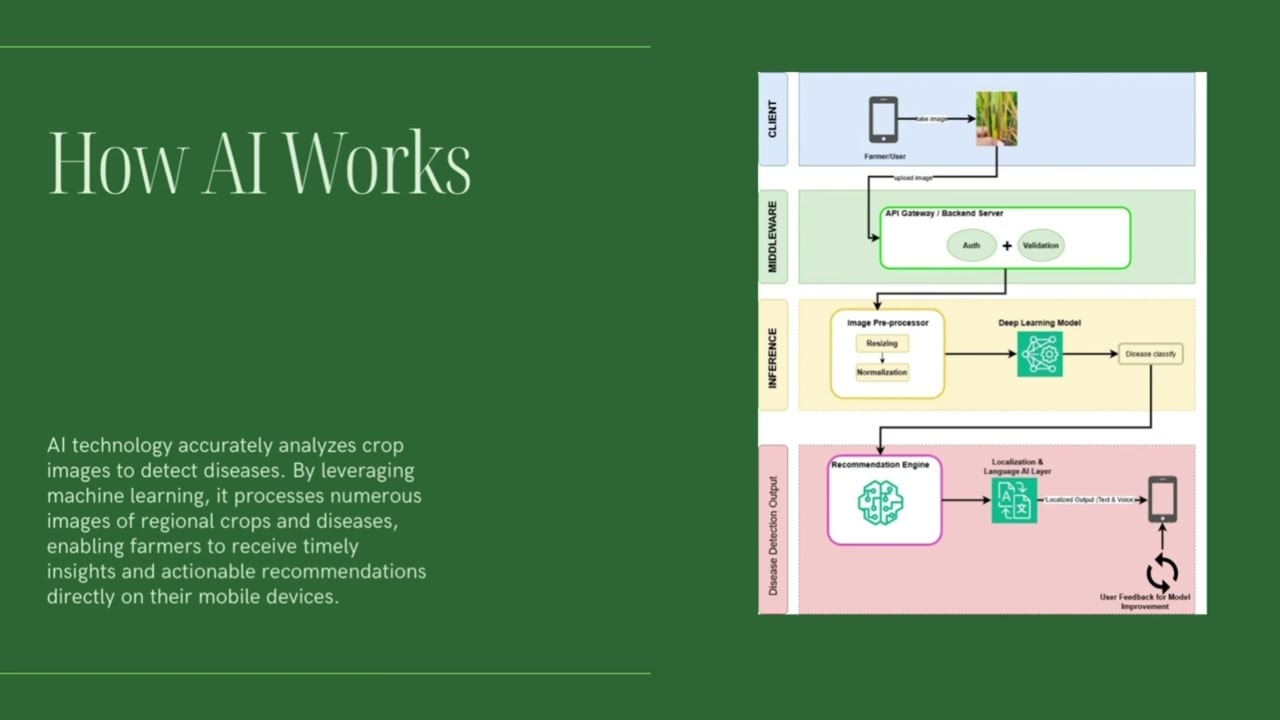 AI Crop Disease Detection and Recommendation