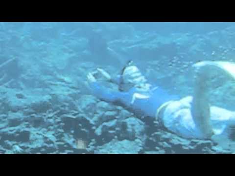 Cades Reef Snorkeling Tours in Antigua: Awesome Antigua Snorkeling
