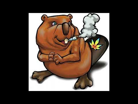 Jungle Beaver Two - 3 deck Jungle / Hardcore / Drum and Bass mix