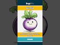 turnip - a round, white and purple... video thumbnail