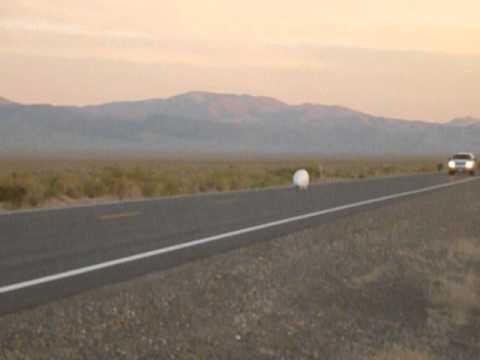 20120911 catch Jan-Marcel van Dijken Cygnus Beta