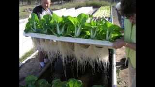 Indoor Aquaponics Systems Do-It-Yourself Training - Aquaponics4u