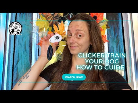 Clicker Train Your Dog! A How To Guide.