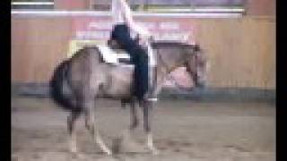 preview picture of video 'Horsemanship Rožnov A 1.8.2008'