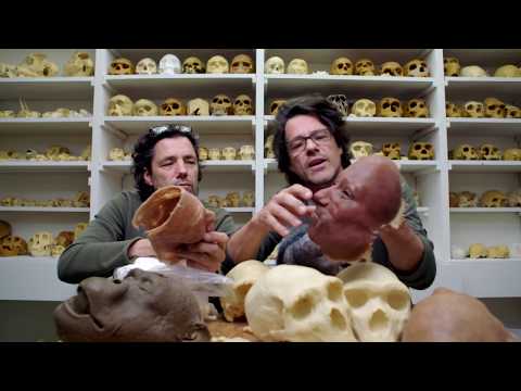 Using Imagination to Create Reconstructions of Ancient Hominins