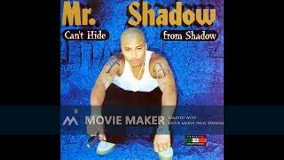 Mr Shadow - Blazin