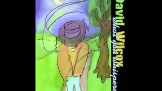 Inside of My Head - David Wilcox