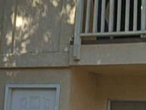 Brutha singing All i do is think of you