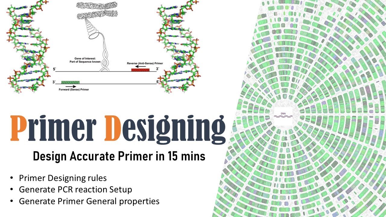 PCR Primer Designing | NCBI Primer BLAST | In silico PCR primer designing and validation