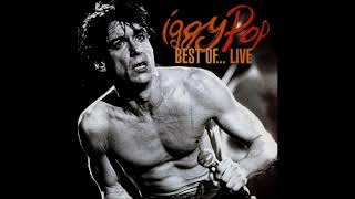 Iggy Pop - High On You (Live). HQ