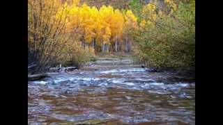 The Maranatha! Singers Thank you Jesus