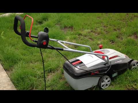 Обзор огорода, покосила траву, а на вечер дождь .