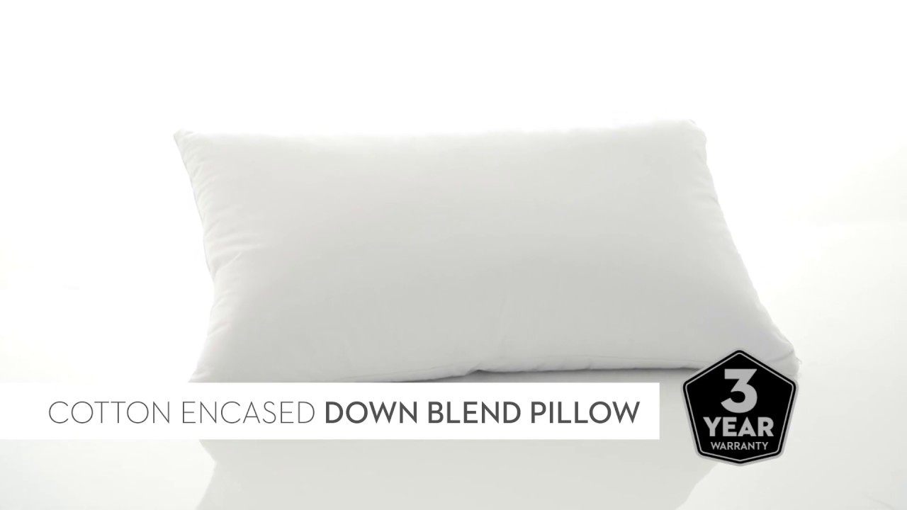 Cotton Encased Down Blend Pillow