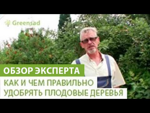 Какие удобрения нужны деревьям и кустарникам в саду