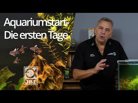 JBL TV #68 Einlaufphase im Aquarium - Bakterien, Nitritpeak & die ersten Bewohner