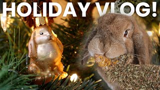The **Ultimate** Holiday Bunny Vlog | diy treats, decorating & more!