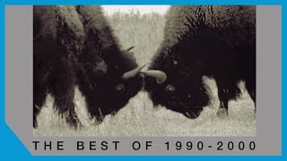 U2 - Salomé (Zooromancer Remix)