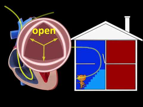 20181125 ExplaineVideo HeartHealth