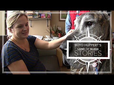 Puppy being trained to take over for beloved St. Cloud Hospital therapy dog