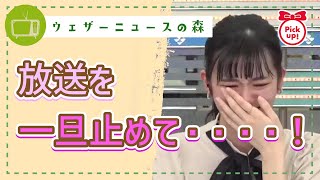 放送一旦止めて・・・!のんちゃん号泣。「おかえりメールNGにしてもらって良いですか?」【大島璃音】【切り抜き】ウェザーニュースの森【ウェザ森】