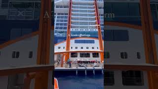 Celebrity Edge- Magic Carpet #celebritycruises #magic #restaurant #experience #vacation #travel