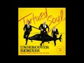 Tortured Soul - Fall In Love (Eric Kupper Remix ...