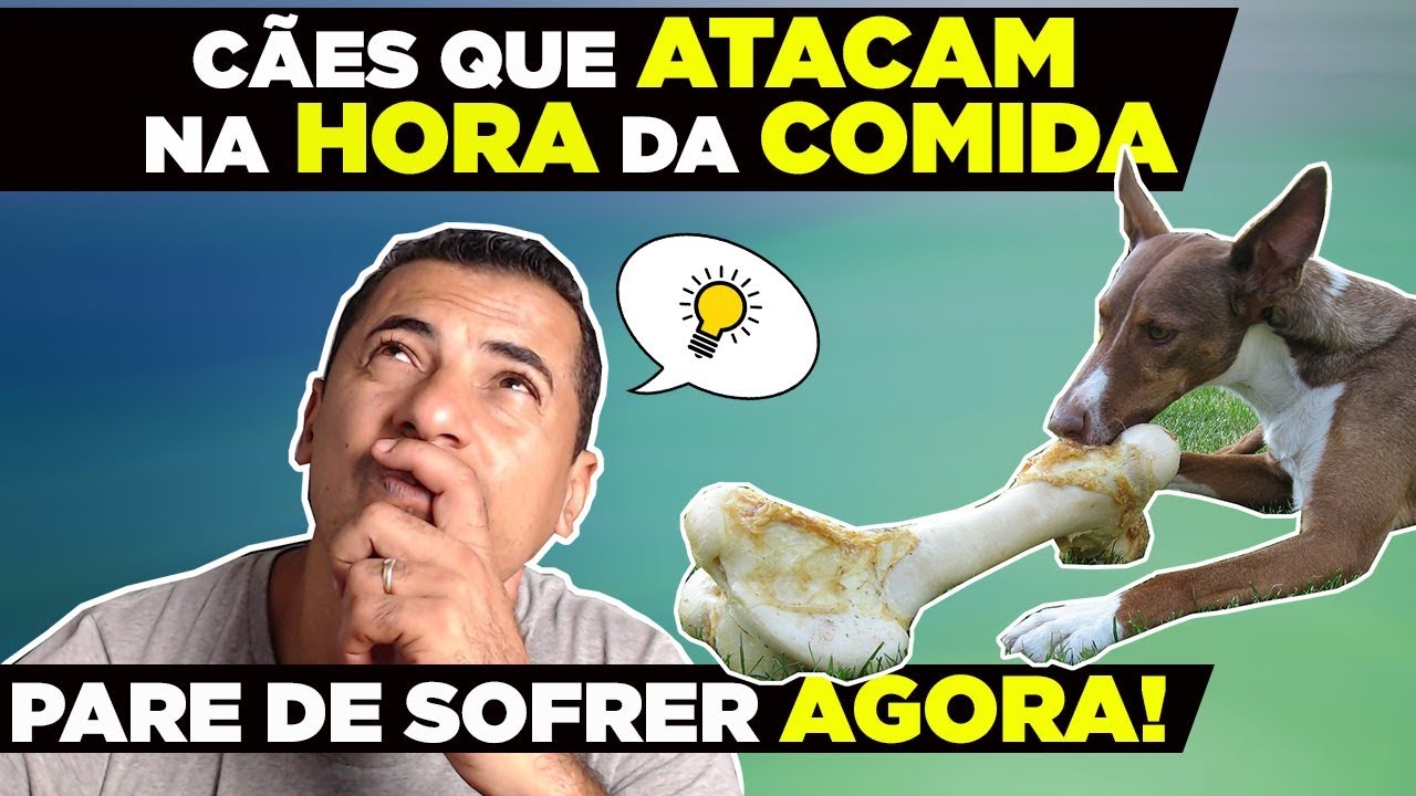 ELE ATACA NA HORA DA COMIDA - O QUE FAZER?