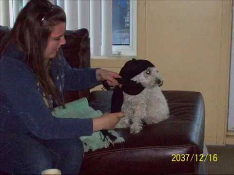 Secondaire 5 en 5 minutes