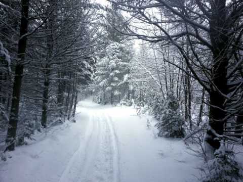 6 Contredanses (1784) KV462 (448b) - Wolfgang Amadeus Mozart