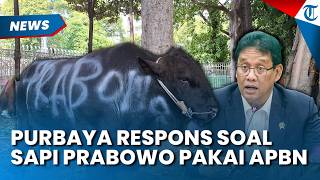 Respons Purbaya soal Sapi Kurban Prabowo Pakai APBN, Anggota DPR RI Sebut Itu Biasa