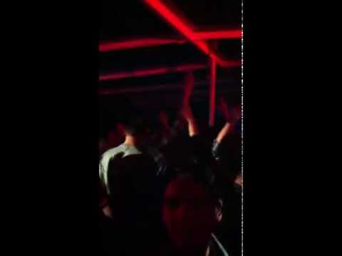 Debut Yacht 2012.06.02. - Arabian horse