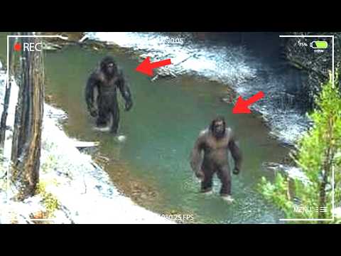 Bryce Johnson: "Our Drone Captured The Terrifying Truth We’ve Been Chasing!" | Expedition Bigfoot