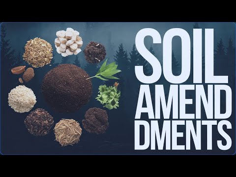 Organic Amendments: The Soil's Secret Sauce | Vibepedia