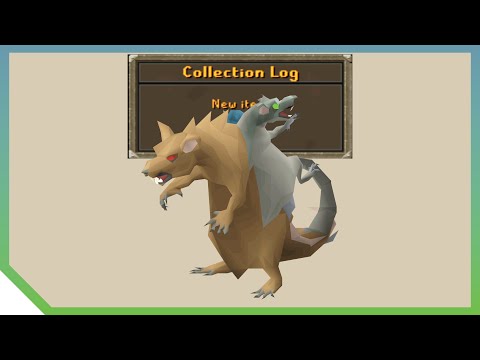 Scurry Pet Drop 🧀 OSRS Old School RuneScape