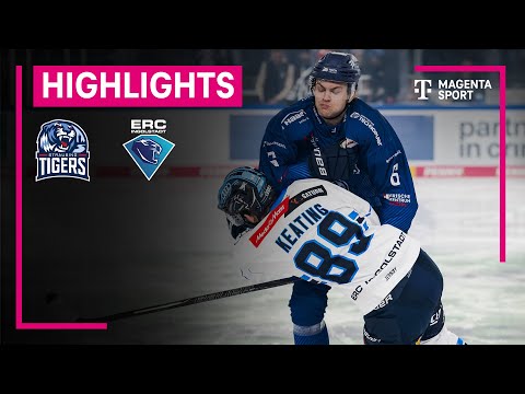 Straubing Tigers - ERC Ingolstadt | PENNY DEL | MAGENTA SPORT