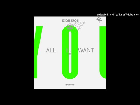Boys Noize, Jake Shears - All I Want (Extended Mix)