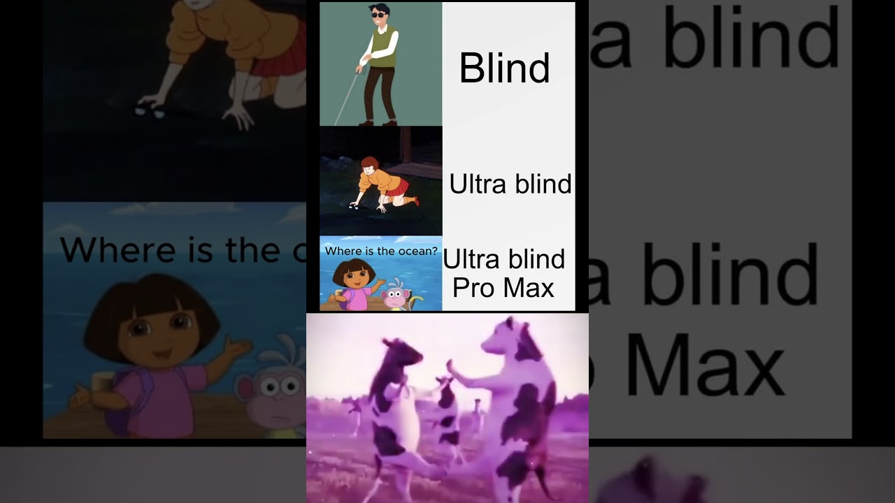Blind Ultra Pro Max😂😂 #memes #funny #dora
