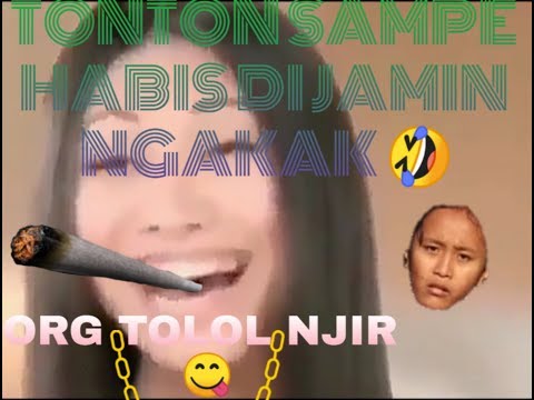 KWOWKW ORG TOLOL 😂 TONTON SAMPAI HABIS AUTO NGAKAK 🤣