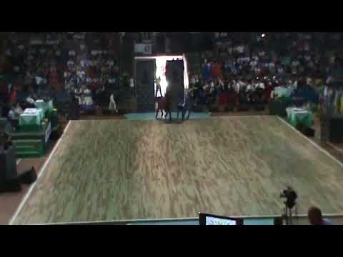 Enart 2011 CTG Aldeia dos Anjos Entrada